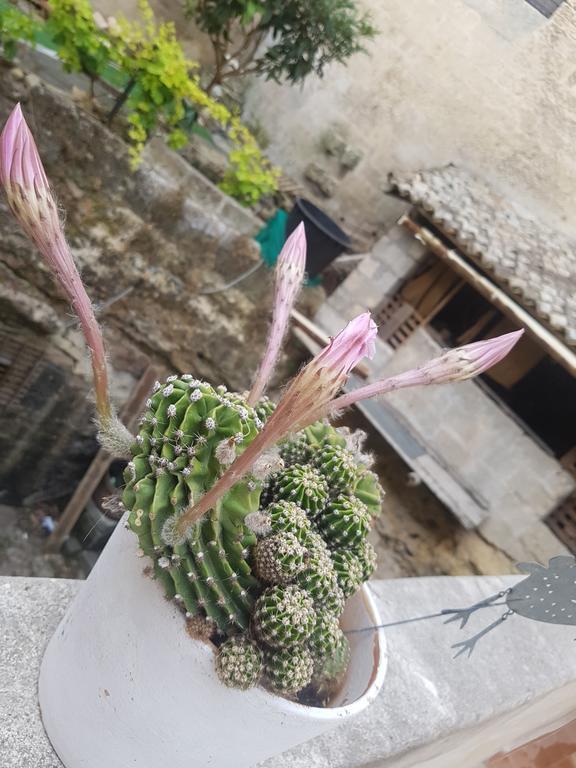 La Bomboniera Holiday Home Matera Ngoại thất bức ảnh